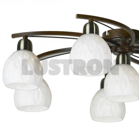 Потолочная люстра Lussole Mores LSL-8807-08