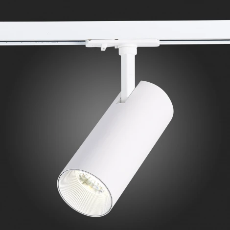 Трековый светильник ST Luce Mono ST350.536.20.36 (LED, 220V, круглые, IP22)
