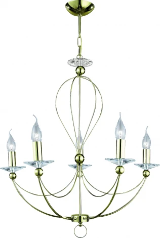 Подвесная люстра Arte Lamp Birdcage A4292LM-5PB