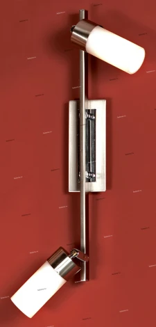 Настенно-потолочный светильник Lussole Cascata LSL-1601-02