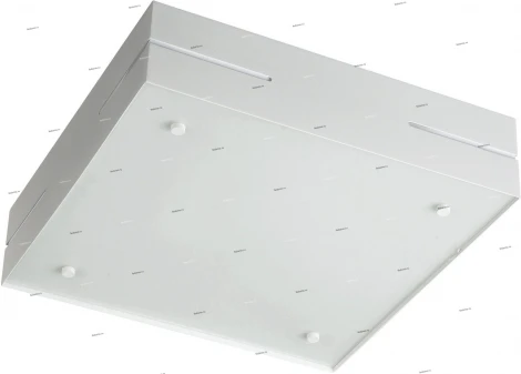 Massive Adriana 30194-31-10