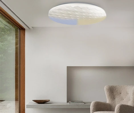 Потолочный светильник Seven Fires Ровер 45445.50.72.77