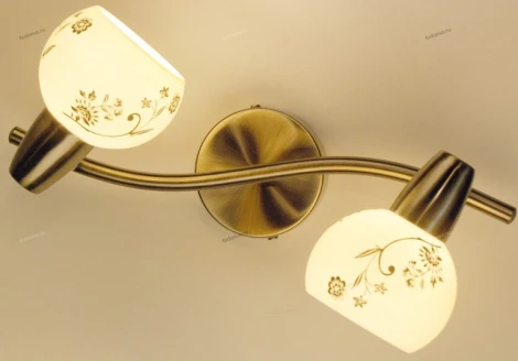 Спот на штанге Citilux Соната CL520523 (220V, цветы, круглые)