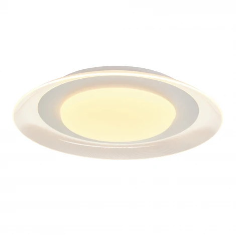 Потолочный светодиодный светильник круглый MyFar Naiad MR9060-CL (регулировка яркости, 220V, пульт управления)