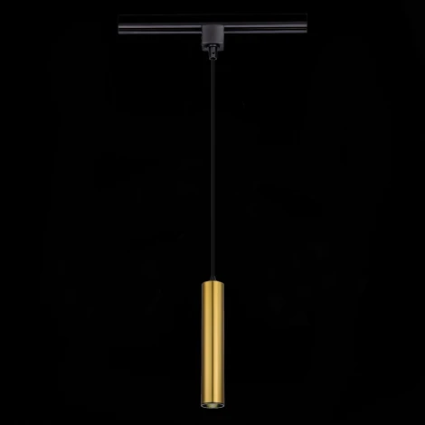 Трековый светильник однофазный ST Luce ST151.306.01 (220V, круглые)