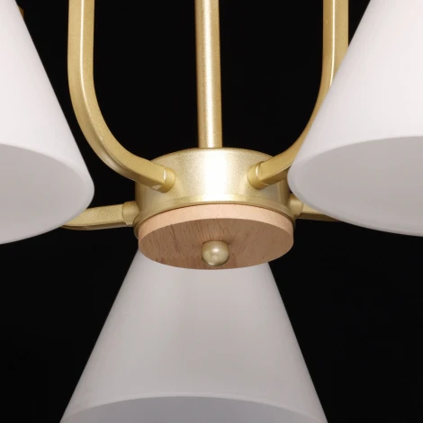 Потолочная люстра на штанге De City Дэла 635016505 (220V)