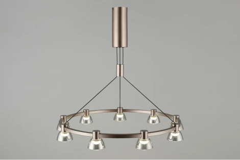 Подвесной светильник Aployt Rezeda APL.788.03.09 (LED, 220V, на проводе)