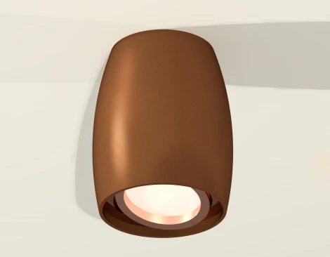 Накладной точечный светильник Ambrella XS XS1124001 (220V, круглые)