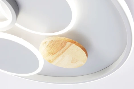 Настенно-потолочный светодиодный светильник с пультом Ambrella Comfort FL4803 (регулировка яркости, 220V, круглые, кольцо)