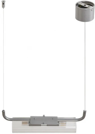 Подвесной светильник Lumion Toronto 8258/2 серебро/прозрачный, металл/стекло G9 2*20W 220V (на тросе)