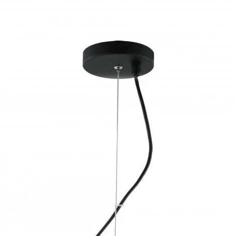 Подвесная люстра Favourite Traube 2359-6P (220V, на тросе, молекулы)