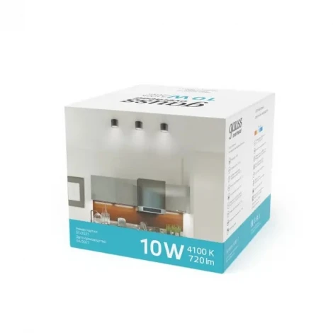 Накладной точечный светильник Gauss HD020 (LED, 220V, круглые)