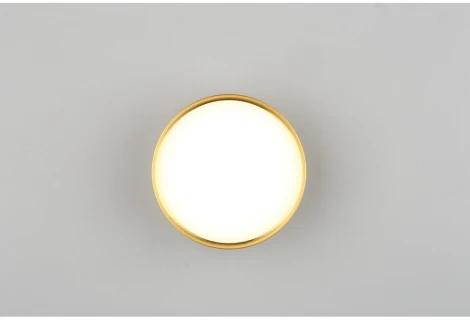 Накладной светильник Omnilux Abano OML-103329-12 (LED, 220V, круглые)