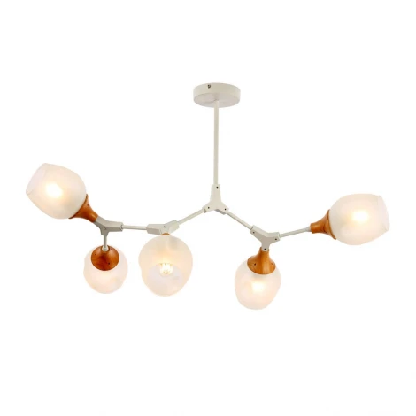 Потолочная люстра на штанге Evoluce Ciotolla SLE113502-05 (220V, шарики)