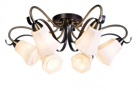 Потолочная люстра Silver Light Merely 225.59.6