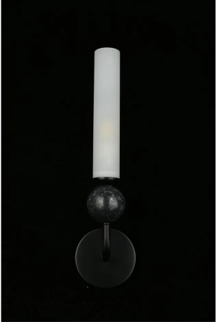 Бра Aployt Gienia APL.339.01.01 (220V)