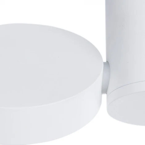 Потолочный светильник Divinare Casa 1486/03 PL-1