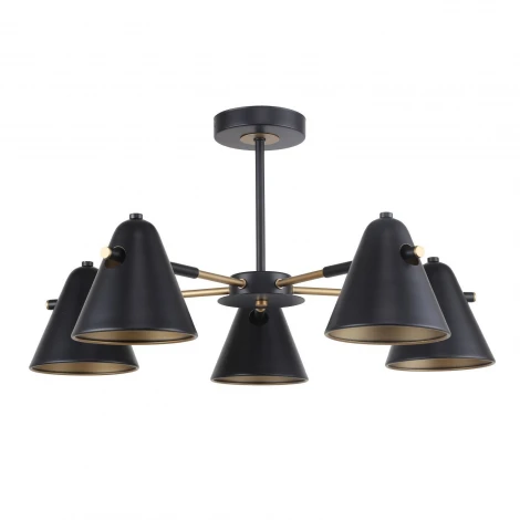 Потолочная люстра на штанге F-Promo Rigor 2844-5P (220V)