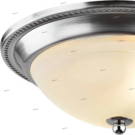 Потолочный светильник Arte Lamp Alta A3011PL-2SS