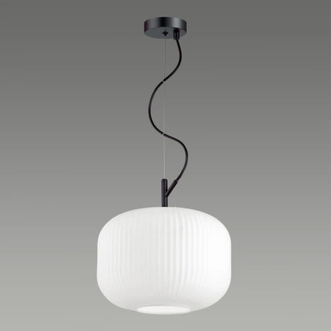 Подвесной светильник Odeon Light Roofi 4754/1 (220V, на тросе)