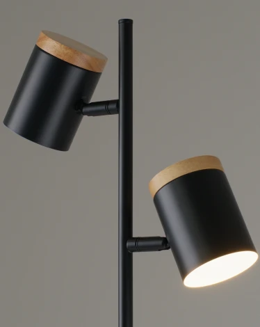 Торшер с выключателем Moderli Asheswood V11287-2F (220V)