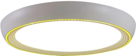 Потолочный светильник Seven Fires Санни 48019.50.90.77GD