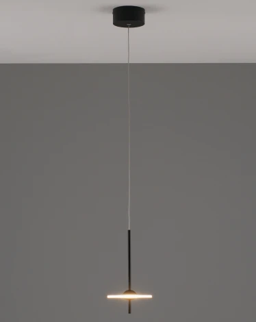 Подвесной светильник светодиодные Moderli Ella V10881-PL (220V, на проводе, круглые)