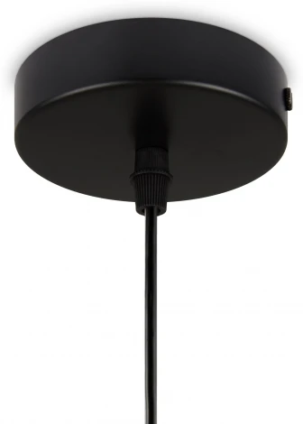 Подвесной светильник Maytoni Jiffy FR5188PL-01G Freya