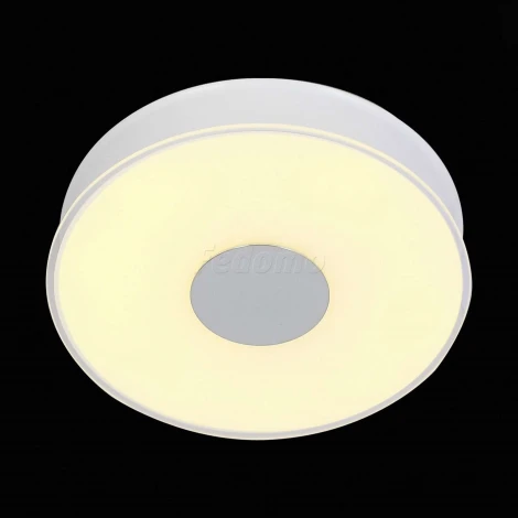 Потолочный светильник ST Luce Semplicita SL473.052.01D