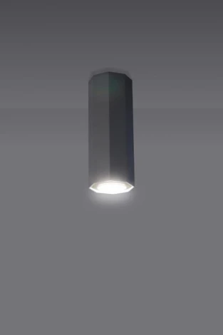 Накладной точечный светильник Lampex Okta 745/20 BIA