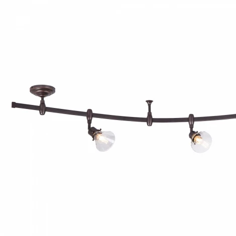 Спот Citilux Бисмарк CL564541