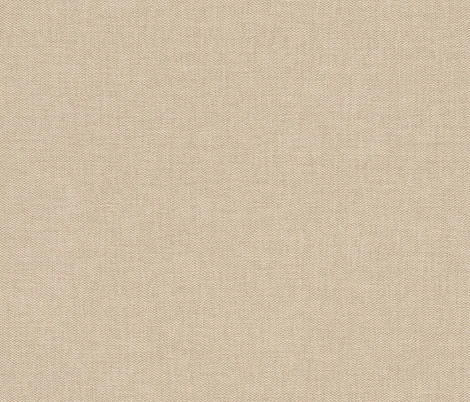 Обои виниловые Rasch Etro 515756 10,05 x 0,7 м