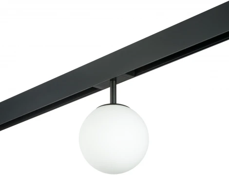 Трековый светильник однофазный 220V Lightstar Teta PRO110107 (шар)