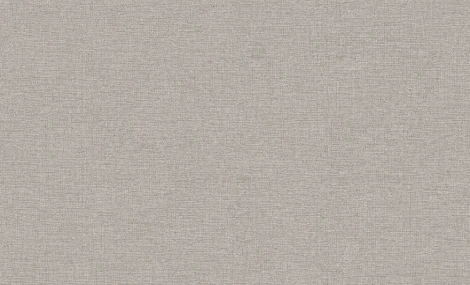 Обои виниловые Erismann Jacklin 60111-03 10,05 x 1,06 м
