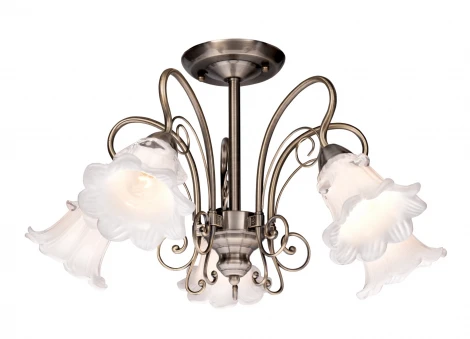 Потолочная люстра Silver Light Tenderness 510.53.5