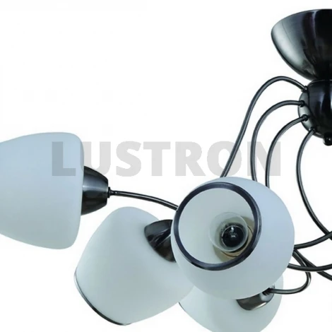 Потолочная люстра IDLamp 816 816/8PF-Darkchrome