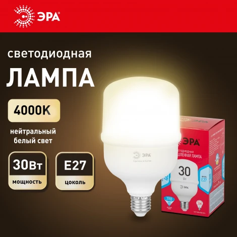 Лампочка светодиодная E27 30W ЭРА LED POWER T80-30W-4000-E27 R
