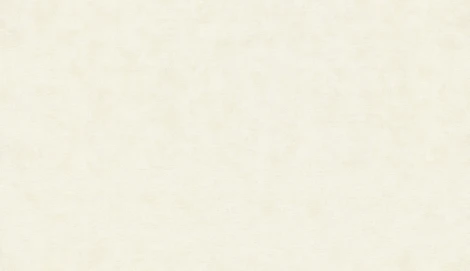 Обои виниловые Marburg Natural Vibes 32380 10,05 x 1,06 м