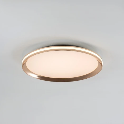 Потолочный светильник светодиодный с пультом с регулировкой цветовой температуры LED4U LED4U L3020-400 GD