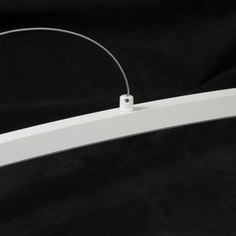 Подвесной светодиодный светильник Lussole Bradford LSP-7452 (220V, на тросе)