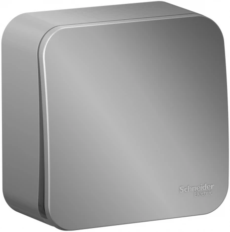 Выключатель накладной одноклавишный (алюминий) Systeme Electric Blanca BLNVA101013