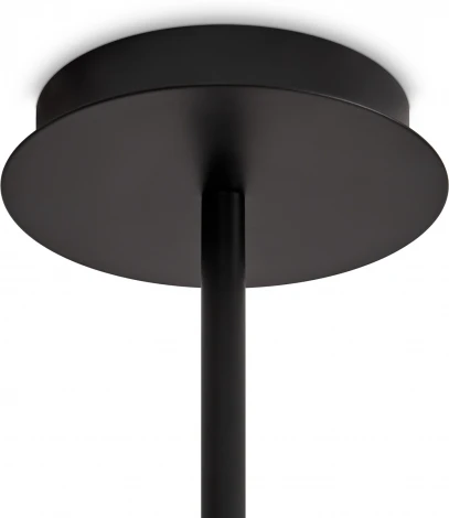 Потолочная люстра на штанге Freya Flight FR5544CL-10B (220V)