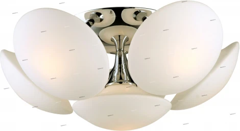 Потолочная люстра Arte Lamp Aqua-sfera A2550PL-6CC