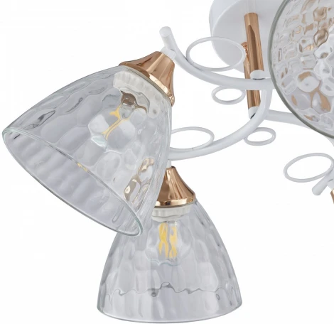 Потолочная люстра на штанге Arte Milano AMALFI-321395 321395/5A WH+FG (220V)