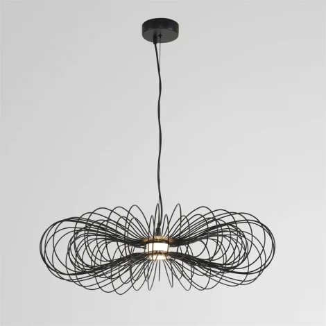 Подвесной светильник светодиодный Lumion Camomile 8301/10L черный, металл/акрил LED 9W 3000K 220V (на проводе)