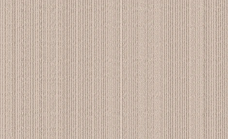 Обои виниловые Erismann Jacklin 60108-03 10,05 x 1,06 м