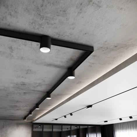 Трековый светильник магнитный Elektrostandard Slim Magnetic 85054/01 12W 4200K Solo a063496 (LED, 48V, круглые)