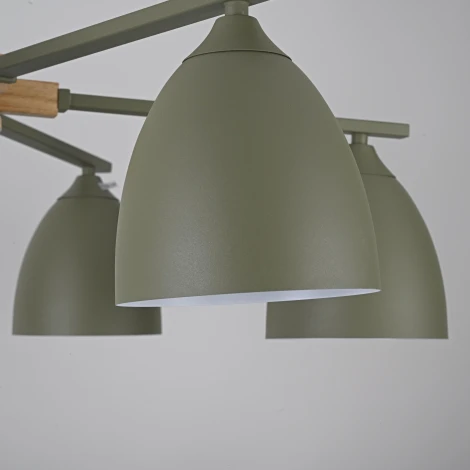 Потолочная люстра на штанге NOA 6 Olive ImperiumLoft Noa01 (183463-26)