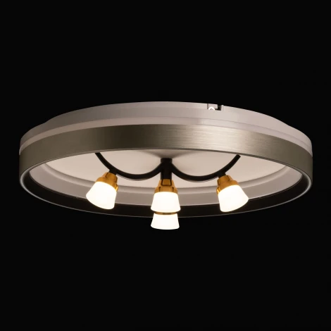 Потолочный светильник круглый De City Норден 660014901 (регулировка яркости, LED, 220V, пульт управления, круглые)