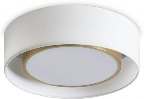 Потолочный светильник круглый Freya Cozy FR6170CL-L52BS (LED, 220V, круглые)